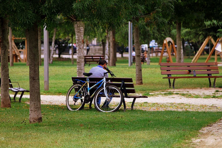 solitude, bench, man, bicycle, garden, park, trees, lane, plant, HD wallpaper