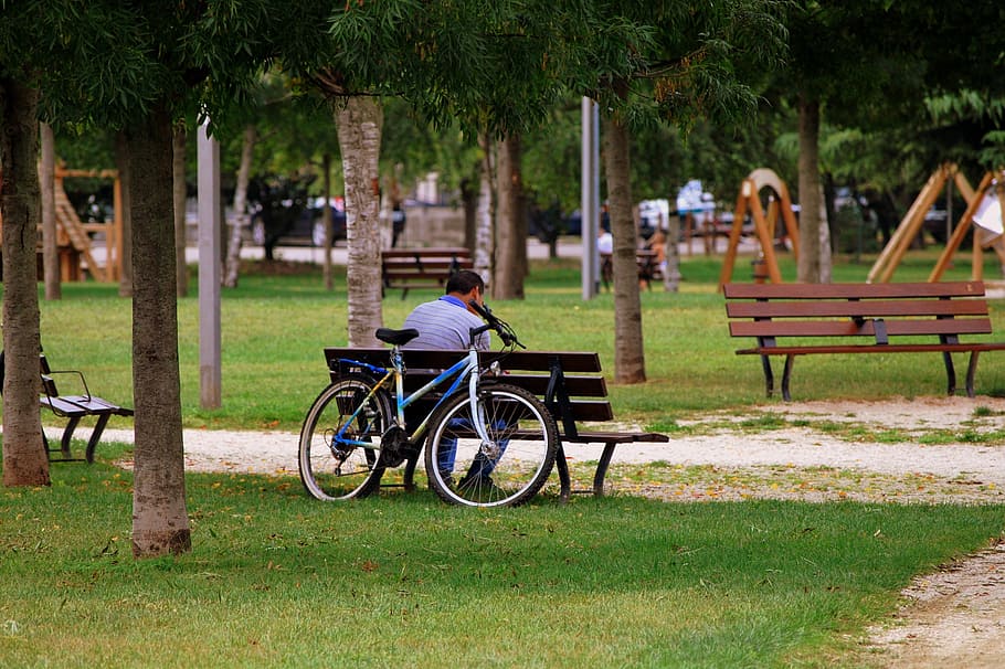 solitude, bench, man, bicycle, garden, park, trees, lane, plant HD wallpaper