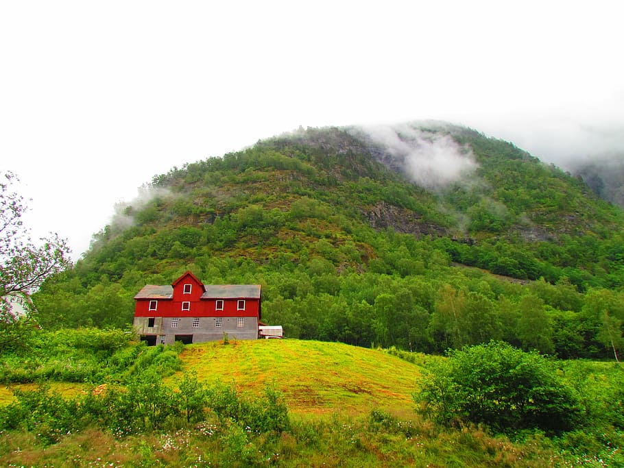 red, barn, red barn, green, farm, rural, country, countryside HD wallpaper