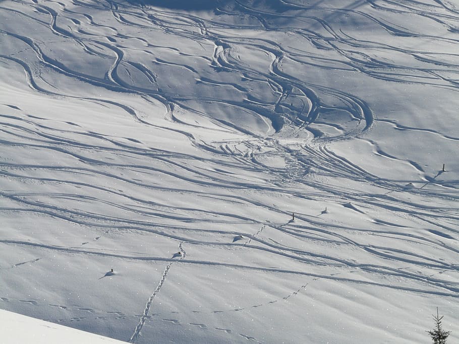 traces, winter, snow, deep snow, powder snow, wintry, landscape HD wallpaper
