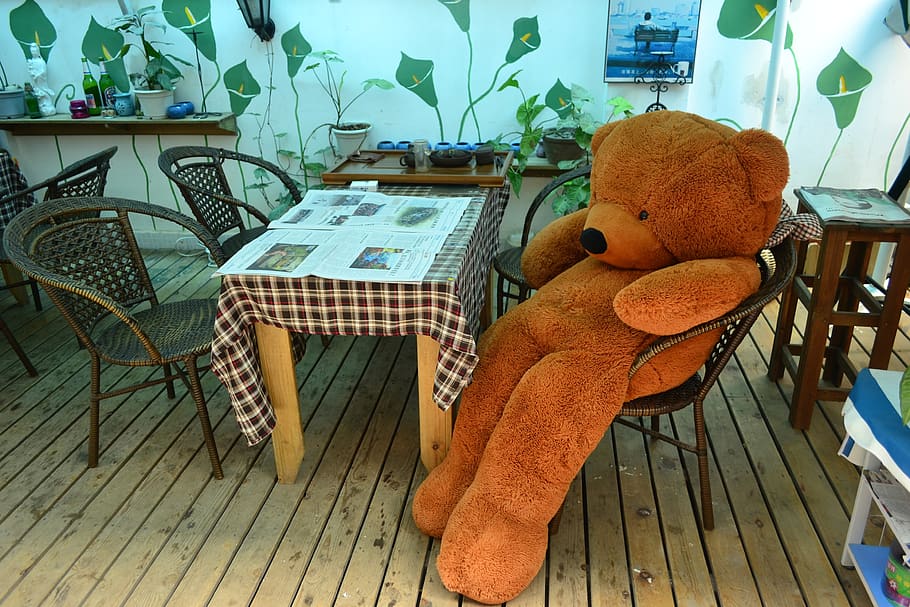 teddy, bar, lonely, bear, table, chair, seat, no people, furniture HD wallpaper