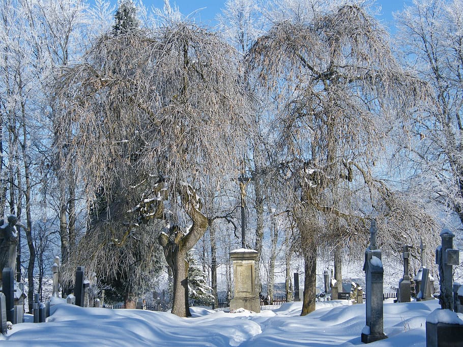 Winter, Cemetery, Trees, Graves, Snow, high above jizerou, czech republic HD wallpaper