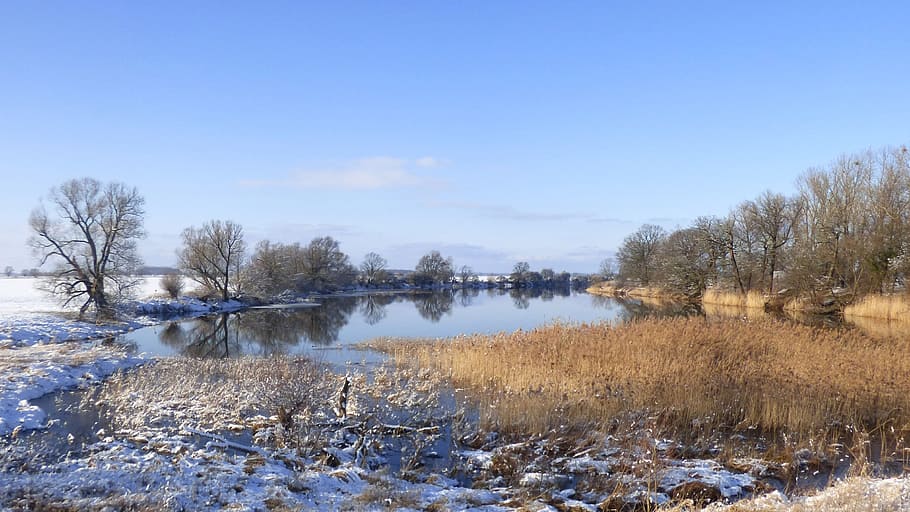 calm body of water surrounded by bushes, nature, waters, winter HD wallpaper