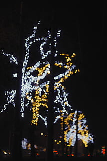 yellow and white string lights in worm's eye view, boke photography of string lights HD wallpaper