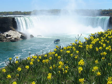 Niagara Falls, Canada, waterfall, horseshoe, daffodils, spring HD wallpaper