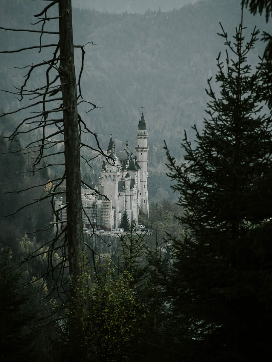 Neuschwanstein Castle, Germany, castle in the middle of the forest HD wallpaper
