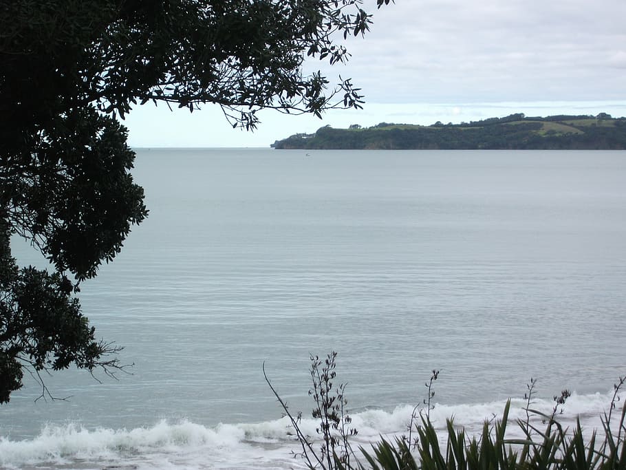beach, ocean, water, plant, tree, sky, beauty in nature, tranquility HD wallpaper