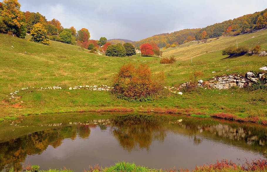 pond, autumn, trees, prato, mountain, nature, plants, the european path HD wallpaper