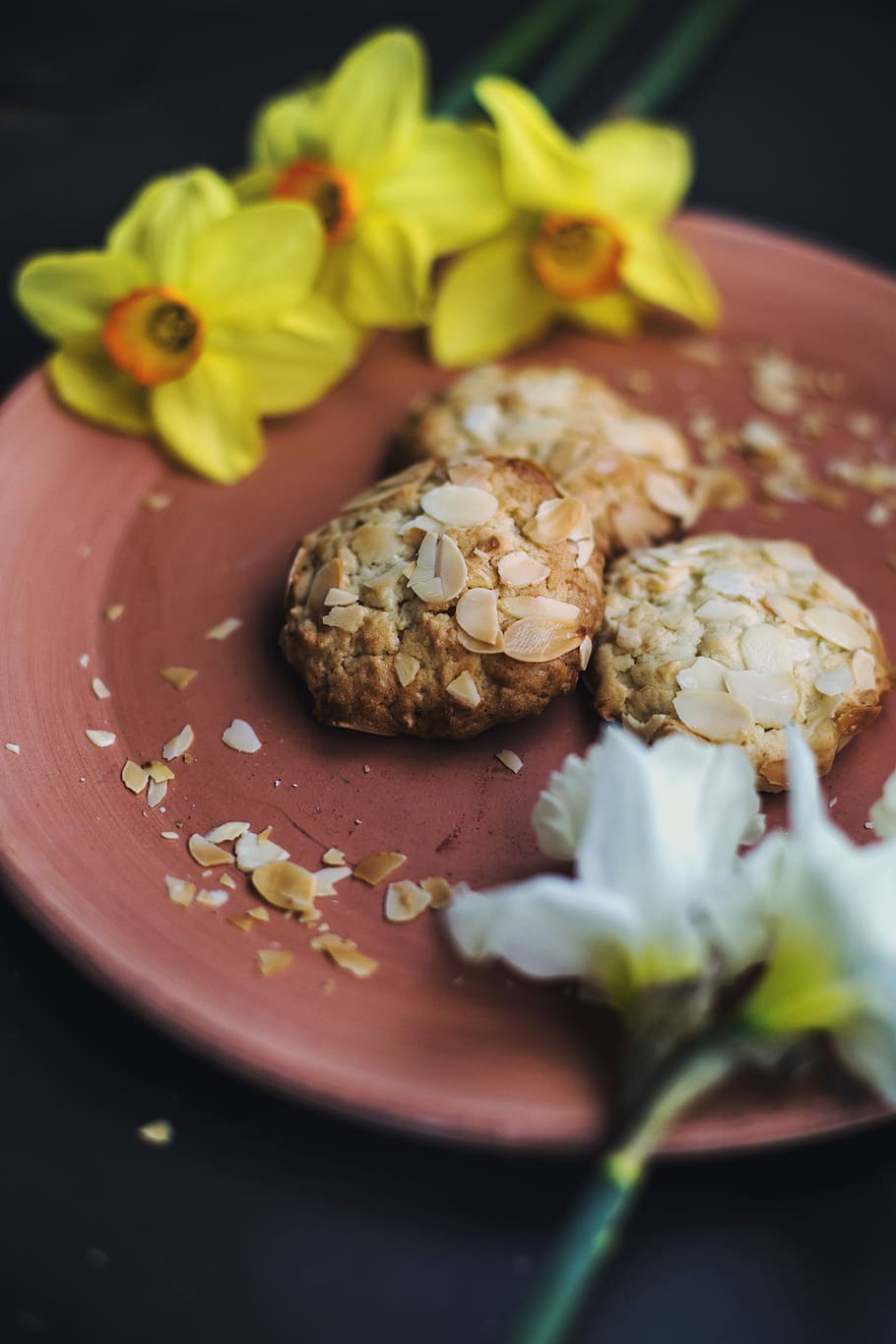 oatmeal cookies and daffodil flowers on plate, three brown biscuits HD wallpaper