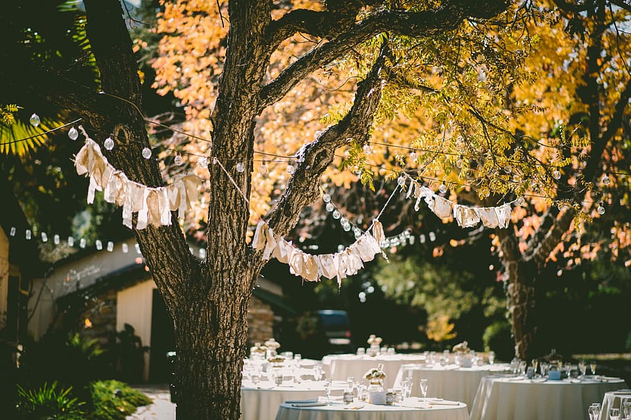 orange leafed tree with orange banderittas, white table arrangement surrounding by trees and buntings at daytime HD wallpaper