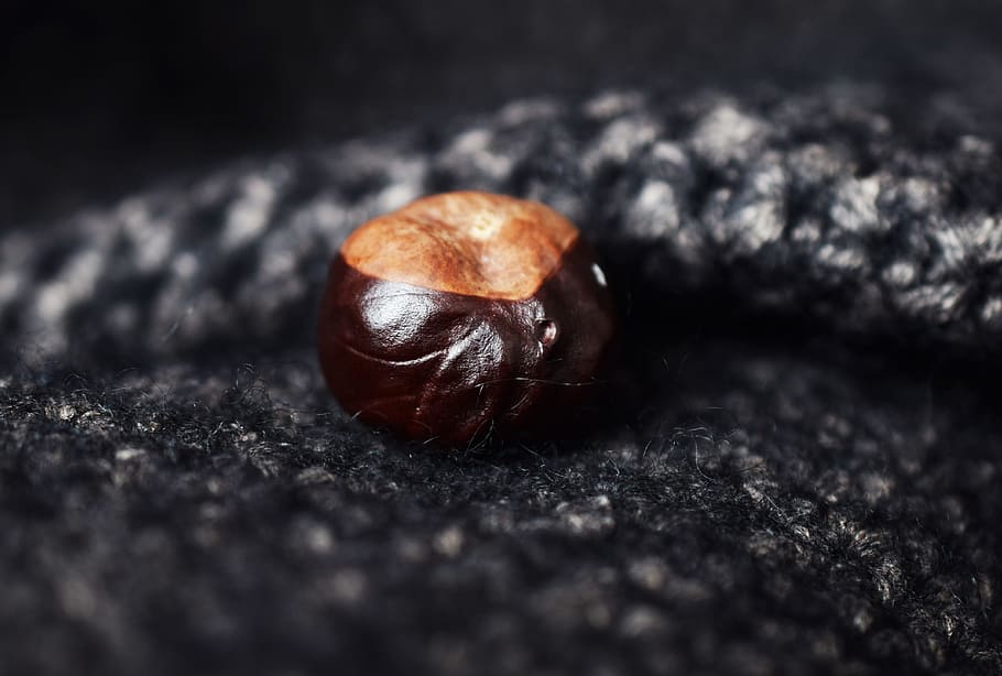 chestnut, autumn, wave, brown, closeup, food, selective focus HD wallpaper