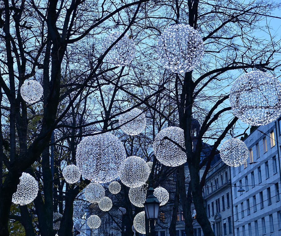 photo of pendant string lights on tree, lamps, evening, lighting HD wallpaper