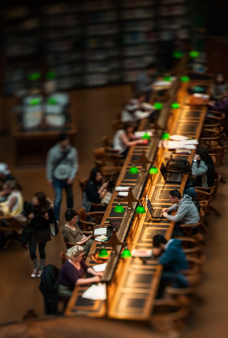selective photography of people on desk inside library, Study