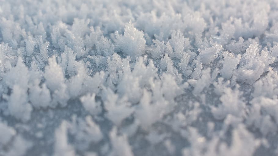 close-up photography of white ice crystals, Frost, Cold, Background HD wallpaper