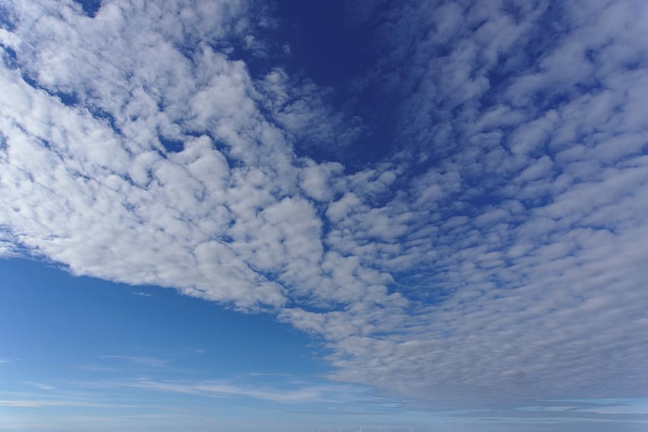 Sky, Clouds, View, Blue, Cloud, summer, sky clouds, cloud - sky HD wallpaper