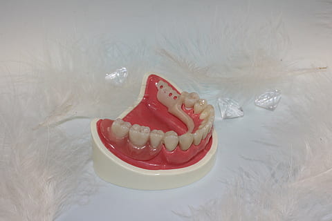 denture in white case, tooth replacement, dental technician HD wallpaper