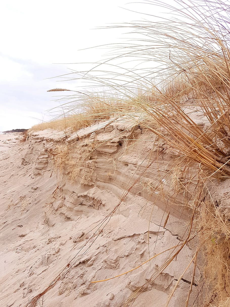 sea, sand, beach, sky, no people, nature, tranquility, land HD wallpaper