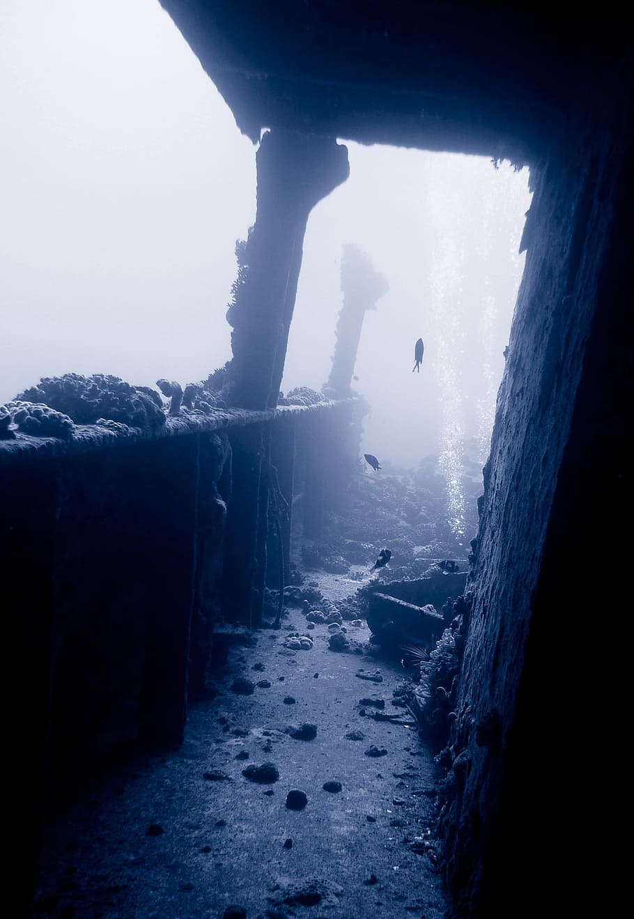 untitled, wreck, diving, underwater, sea, ship, setting, light HD wallpaper