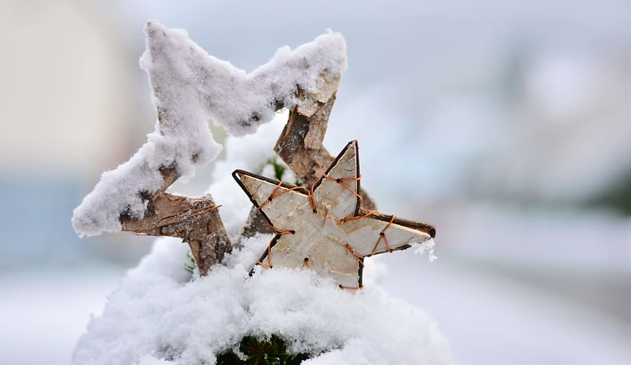 two snow cover star decor, winter, wintry, poinsettia, christmas HD wallpaper