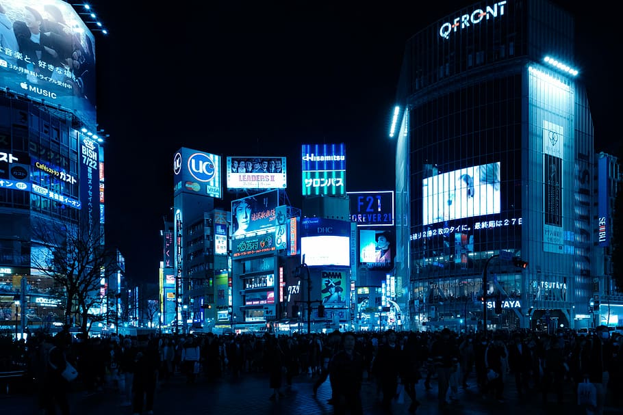 New York Times Square during nighttie, shibuya, intersection HD wallpaper