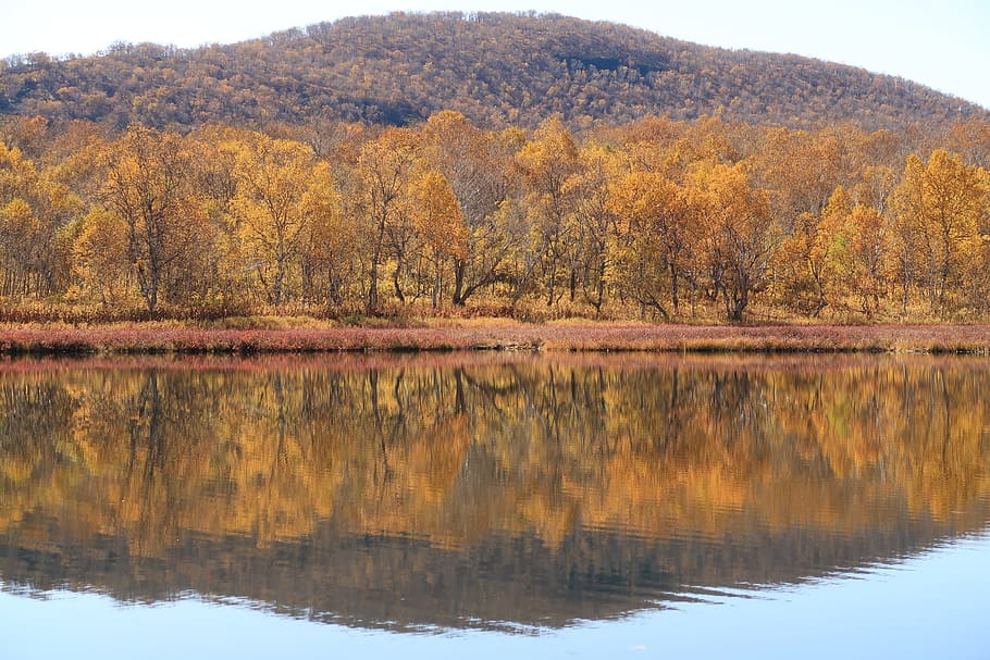 autumn, lake, mountains, reflection, forest, golden autumn HD wallpaper