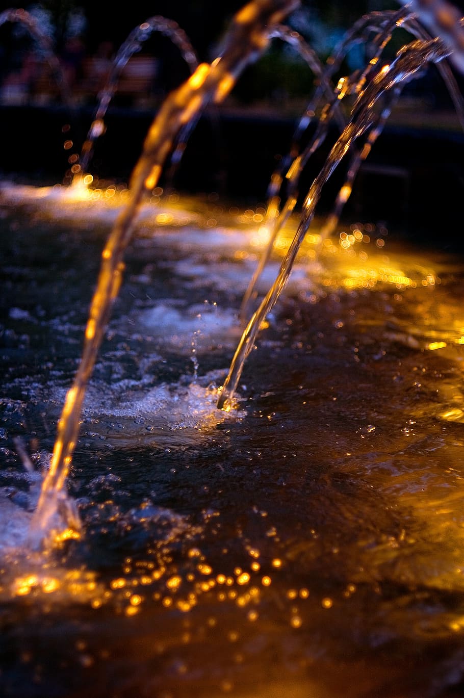 fountain, water, backlight, jet, water jet, park decorations HD wallpaper