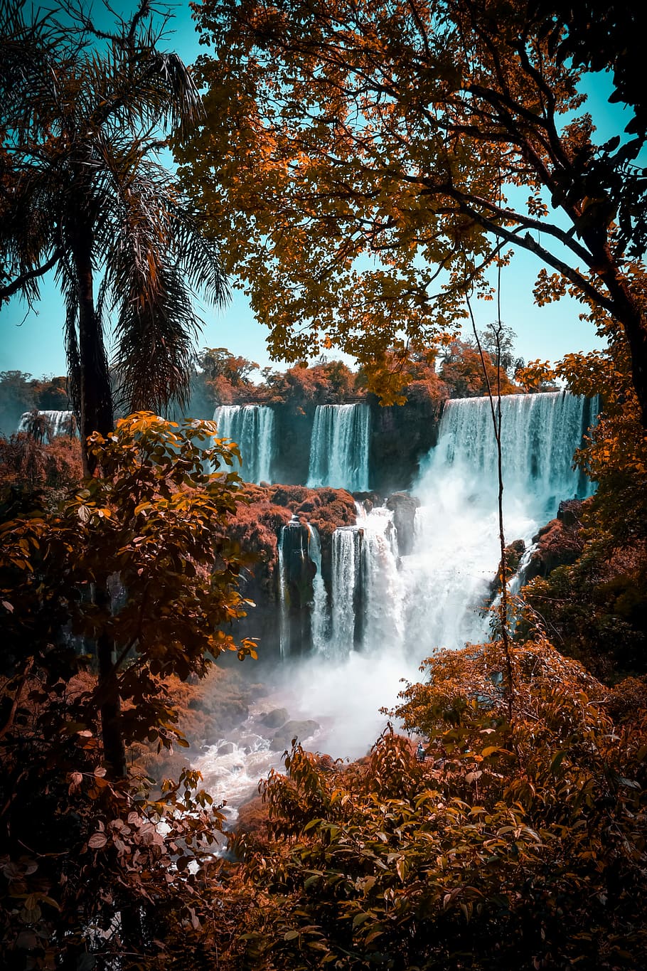 green trees near waterfalls, waterfalls during daytime, cascade HD wallpaper