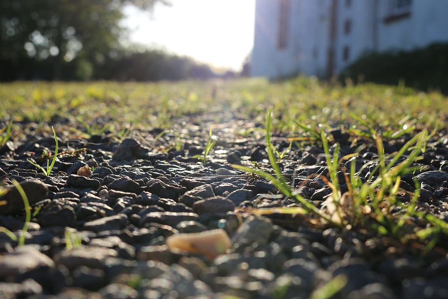 Sun, Stones, Hof, Grass, Nature, lichtspiel, back light, outdoors HD wallpaper