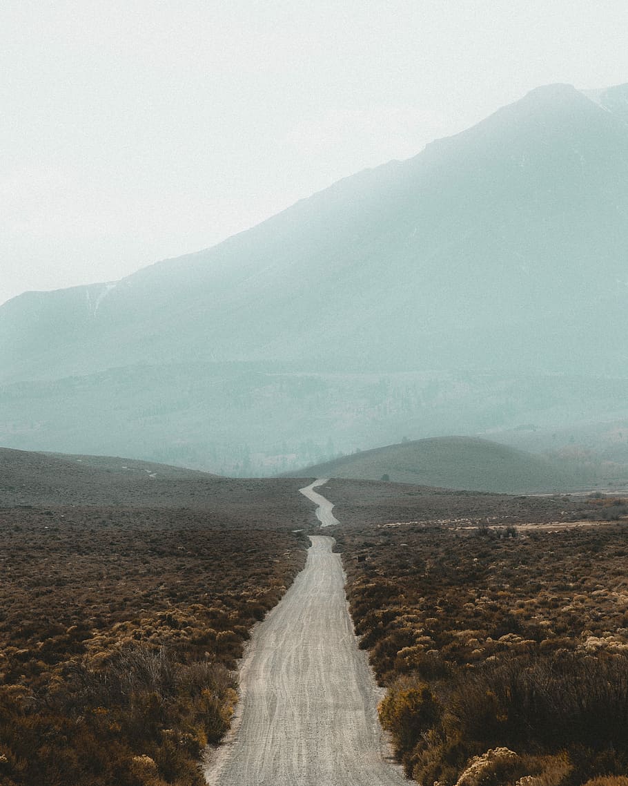 gray road on the middle of trees, pathway between brown leaf grass at distance to mountain at daytime HD wallpaper
