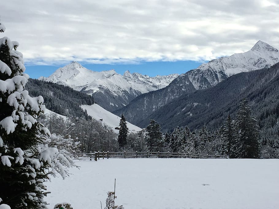 Winter, Snow, Wintry, Dream, winter dream, winter forest, mountain HD wallpaper