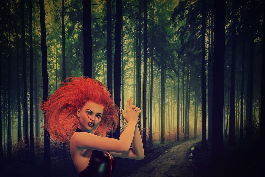 dark, fantasy, forest, artfully, artistic, surreal, spooky HD wallpaper