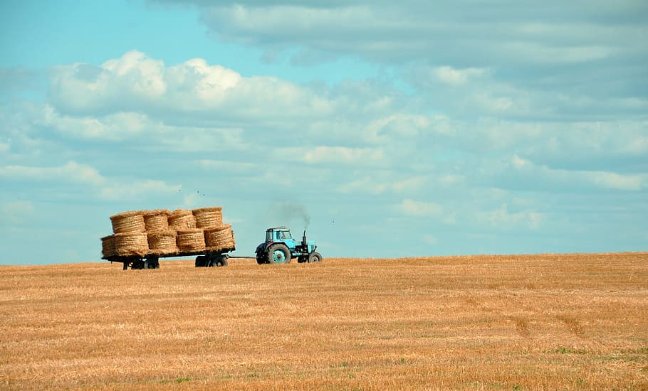 brown hay on tractor under white and blue sky during daytime, blue tractor carrying hays outdoors HD wallpaper