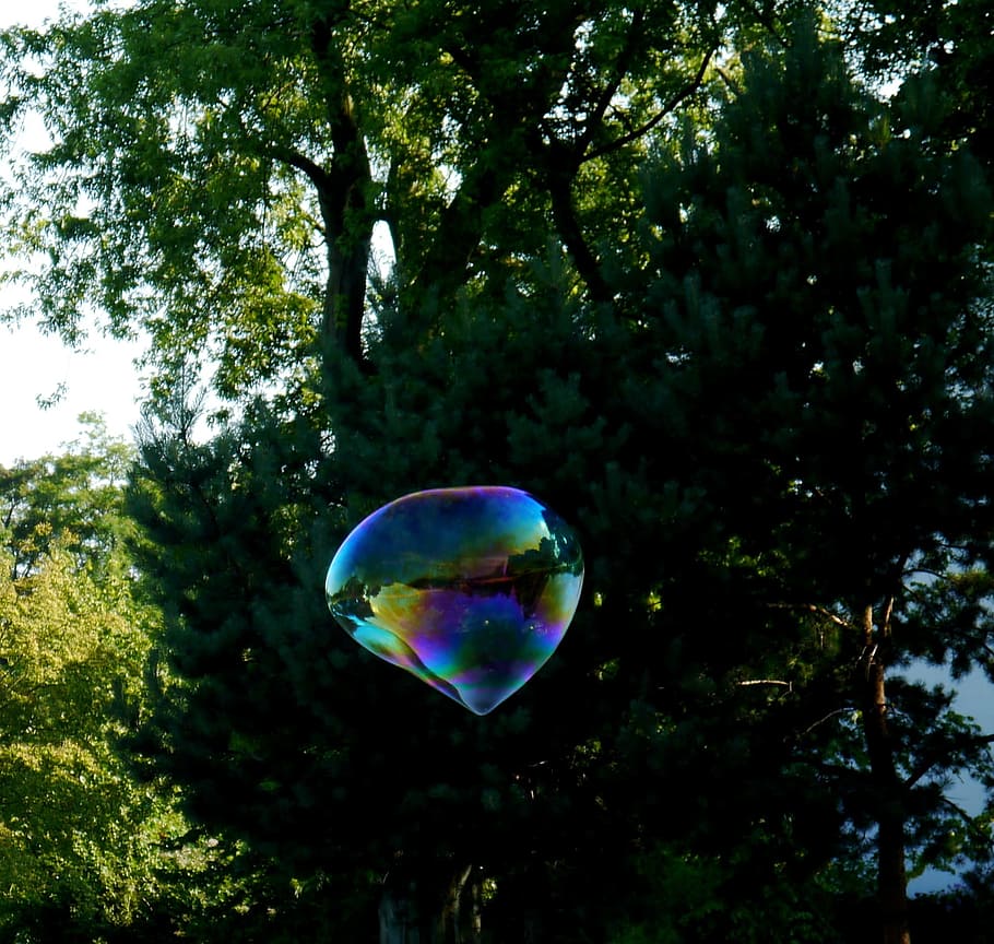 Soap Bubble, Tree, Flight, large, children, soap Sud, nature HD wallpaper