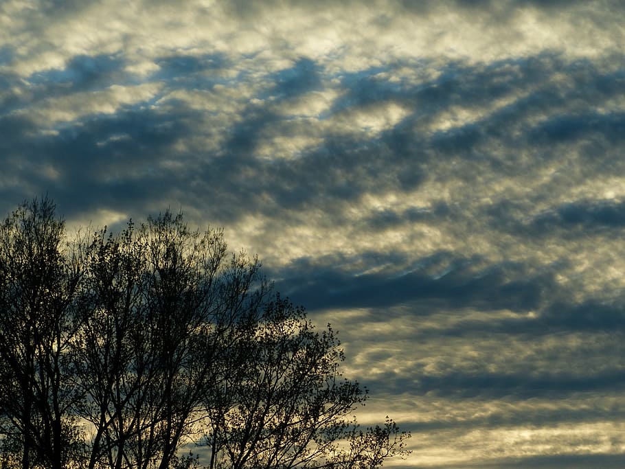 sky, clouds, trees, cloud formation, mood, covered, even, dramatic HD wallpaper