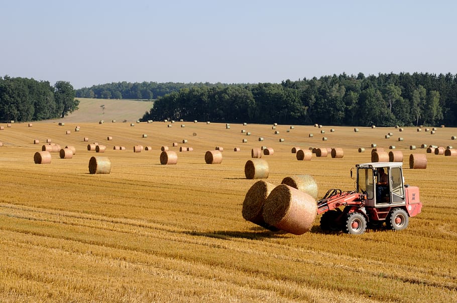 red tractor with hay stacks on brown field during daytime, harvest