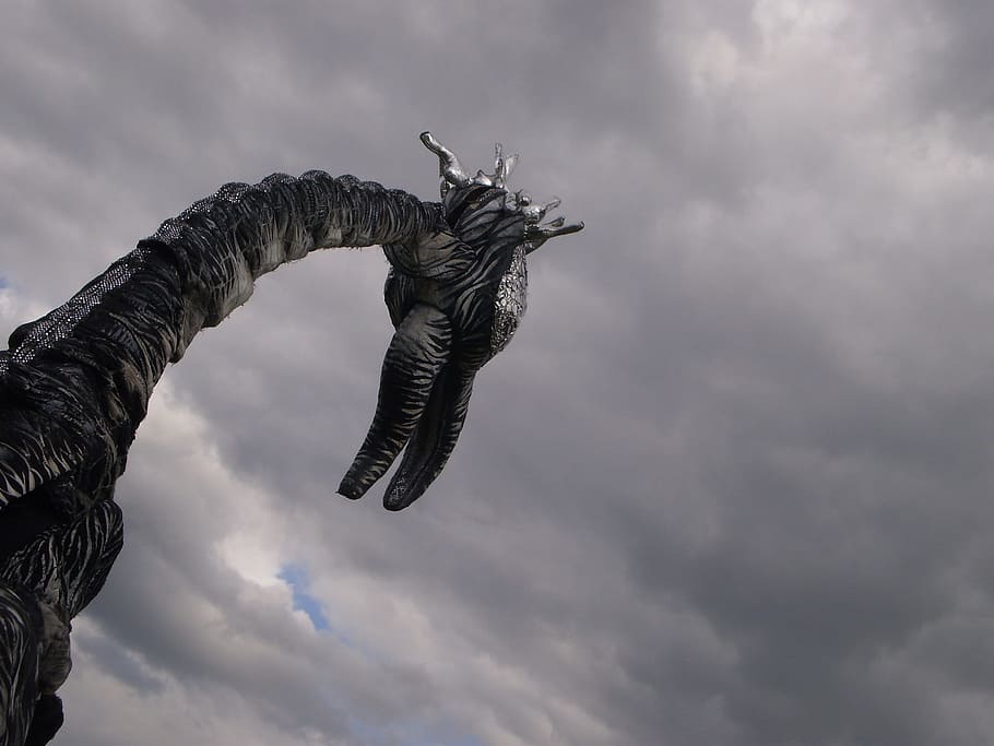 black dragon illustration, Creature, Metal, Carnival, fantasy HD wallpaper