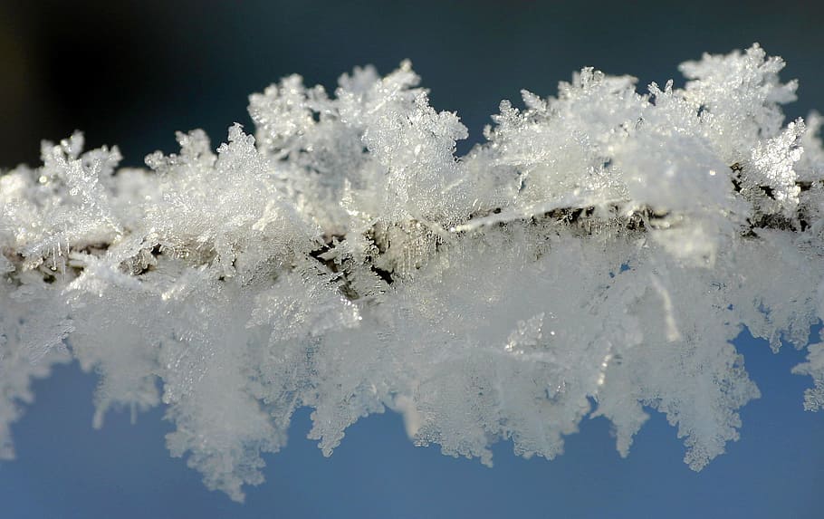 frost, winter, hoarfrost, cold, ice crystal, frozen, icy, cold temperature HD wallpaper