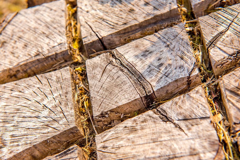 background, brown, district, section, detail, timber, nature HD wallpaper
