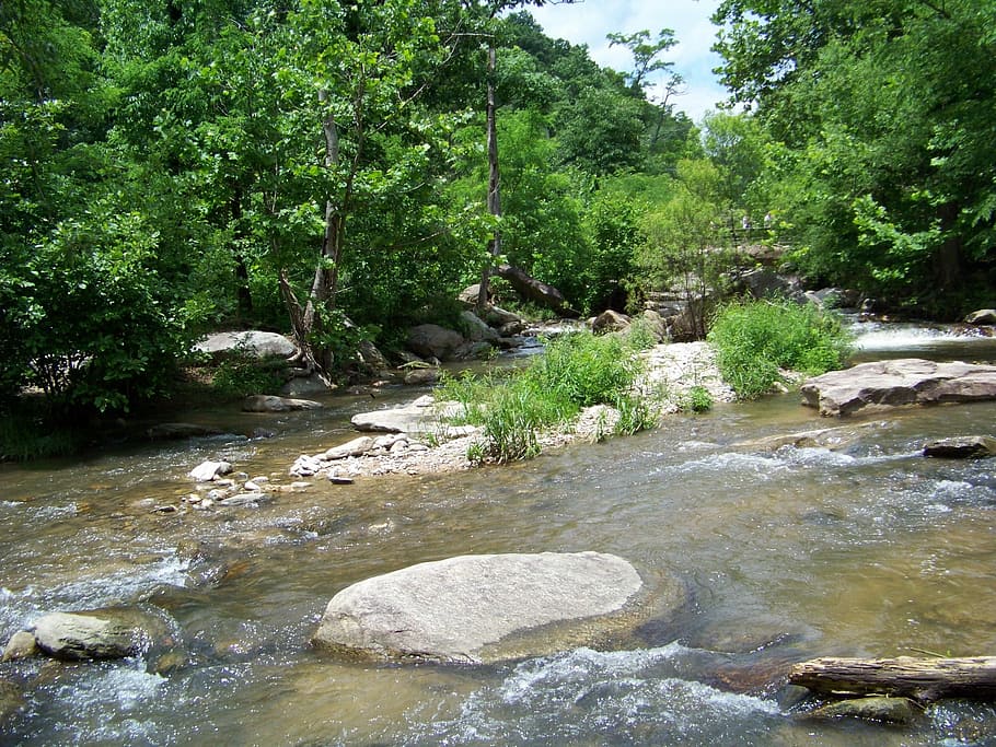 Water, River, Rocks, Trees, flowing, landscape, nature, outside HD wallpaper