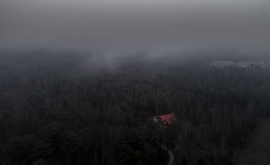 aerial photo of trees and house, aerial photography of orange house surrounded by green forest trees during daytime HD wallpaper