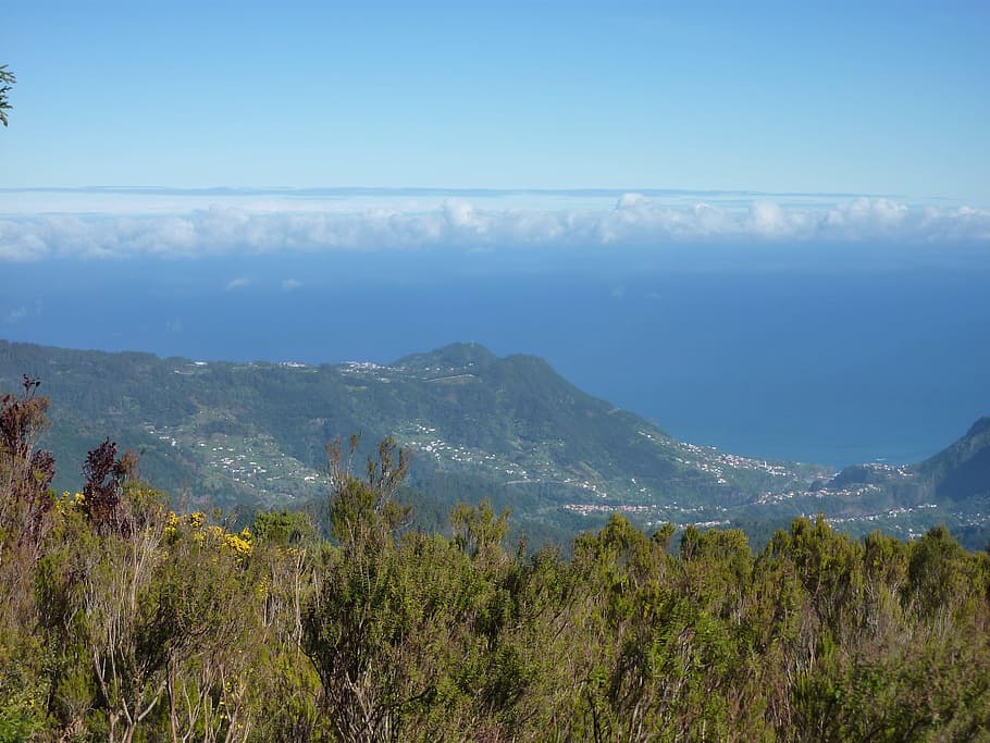 Madeira, Landscape, Ocean, nature, tranquility, tranquil scene HD wallpaper