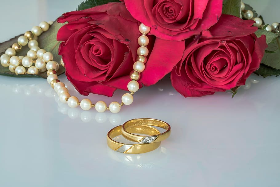 two gold-colored ring near red rose, wedding rings, gold rings