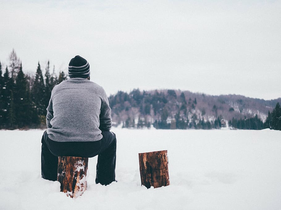 man wearing gray sweater sitting on brown tree branch, winter HD wallpaper