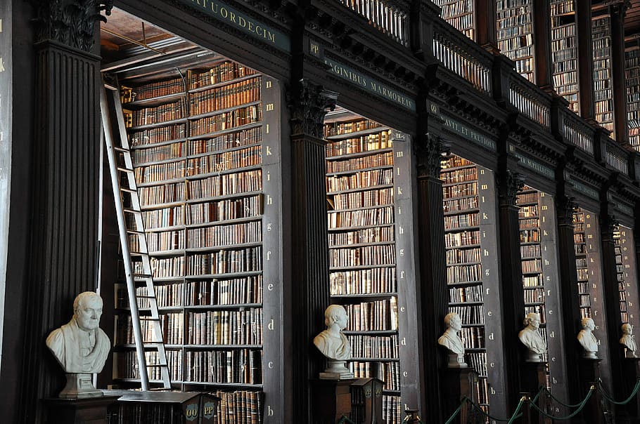 white ceramic head busts, library, library interior, book, bookshelf HD wallpaper