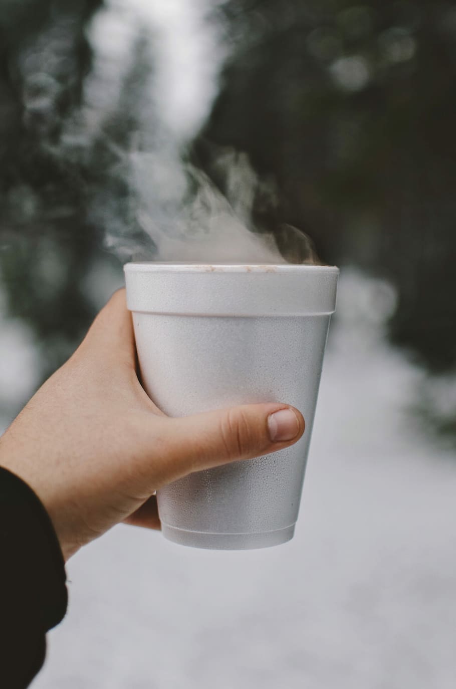 person holding white styro cup, selective focus photography of person holding disposable cup HD wallpaper