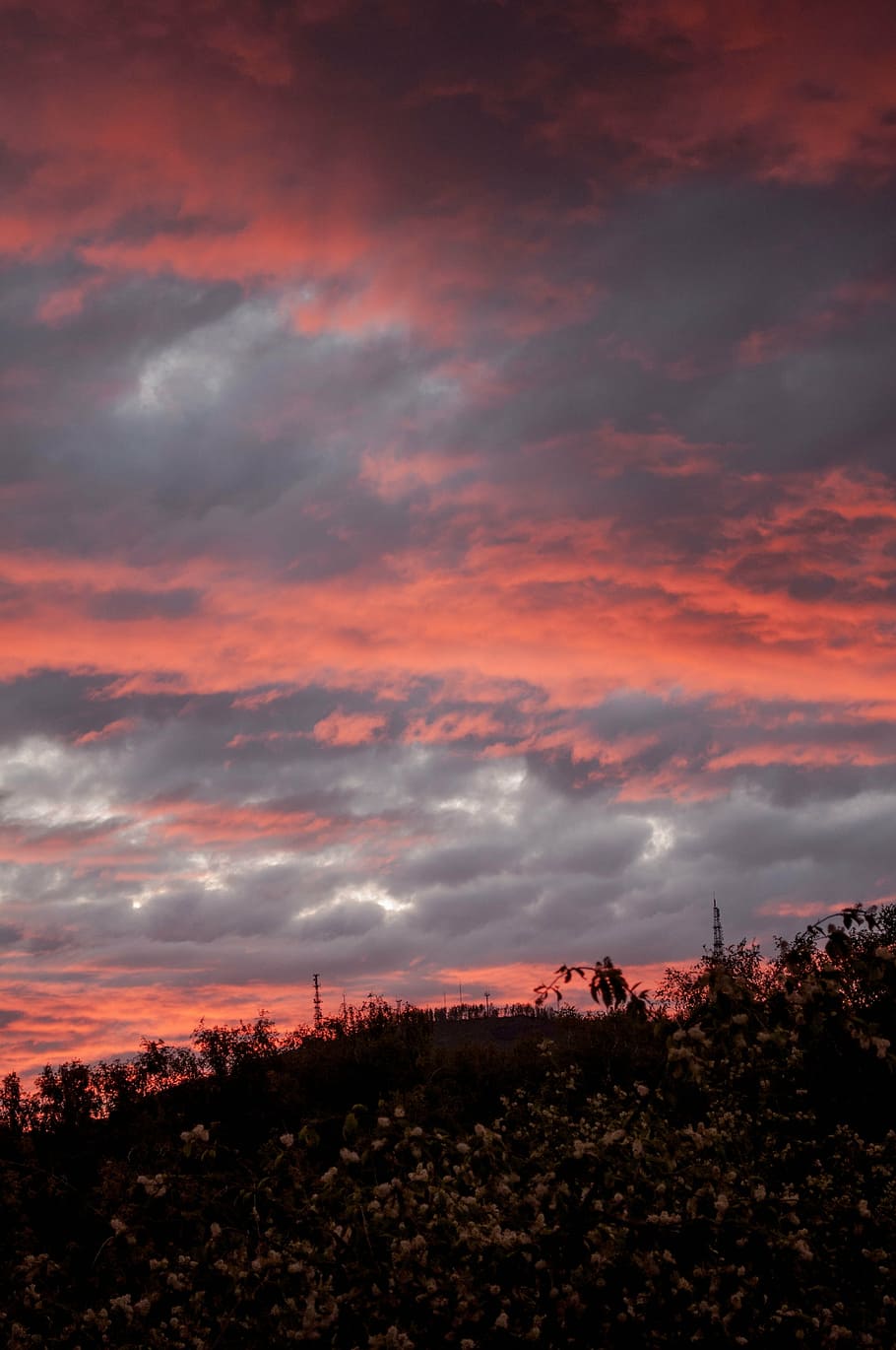 sunset, clouds, red, sky, evening, summer, landscape, cloud - sky HD wallpaper