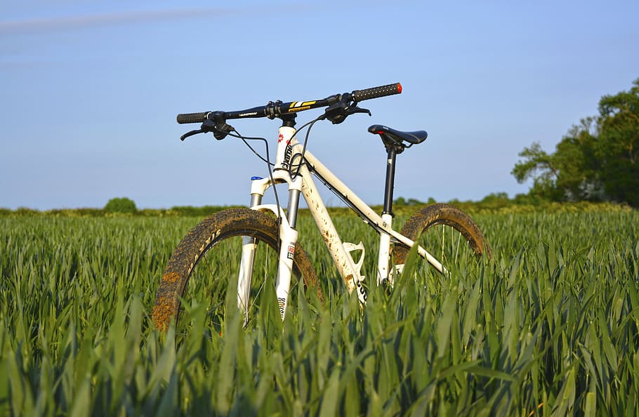 white hardtail bicycle on green grass field, bike, sport, hobby, HD wallpaper