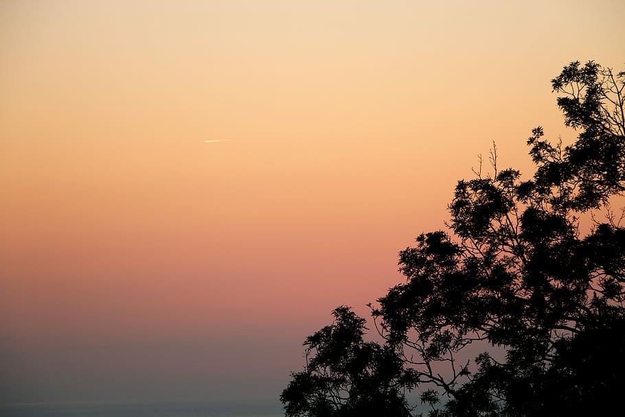 sunset, dawn, nature, silhouette, twilight, evening, sky, tree HD wallpaper