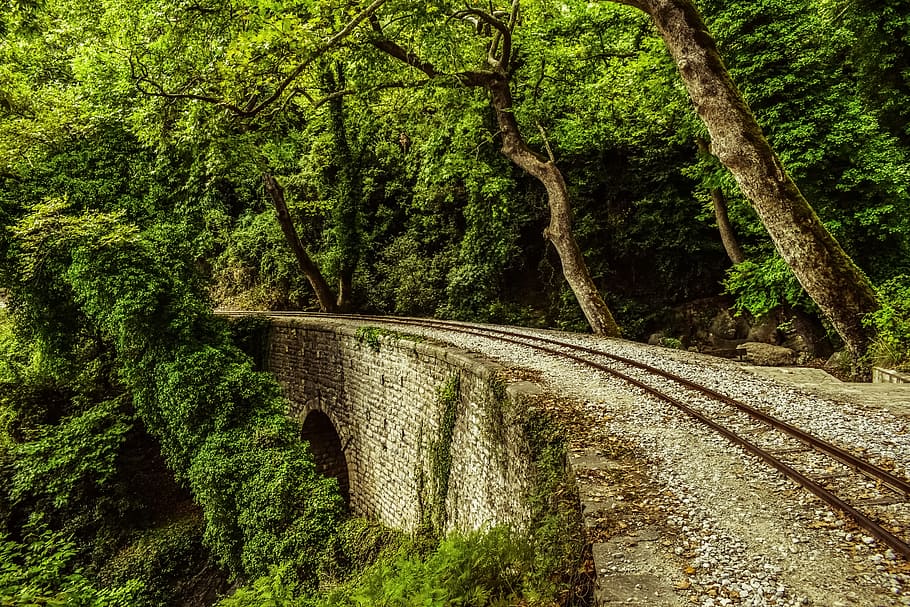 empty gray stone arch bridge in the middle of woods during day HD wallpaper