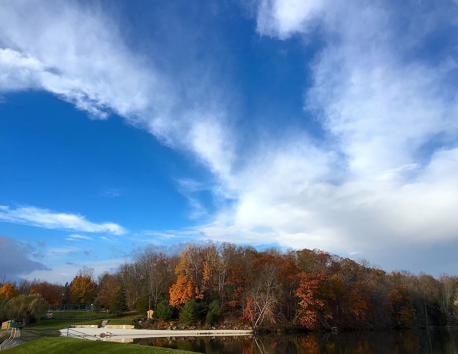 fall, foliage, lake, water, park, autumn, nature, landscape HD wallpaper